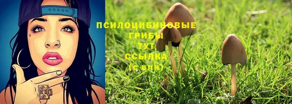 кокаин Алексеевка