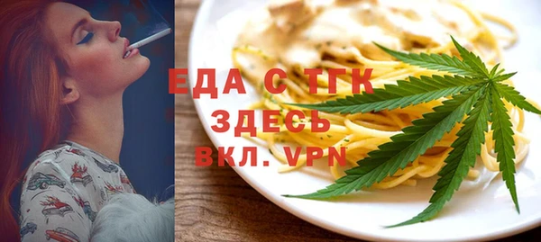 гидра Ельня