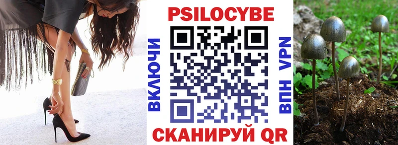 Галлюциногенные грибы Cubensis  мега вход  Навашино  где найти  